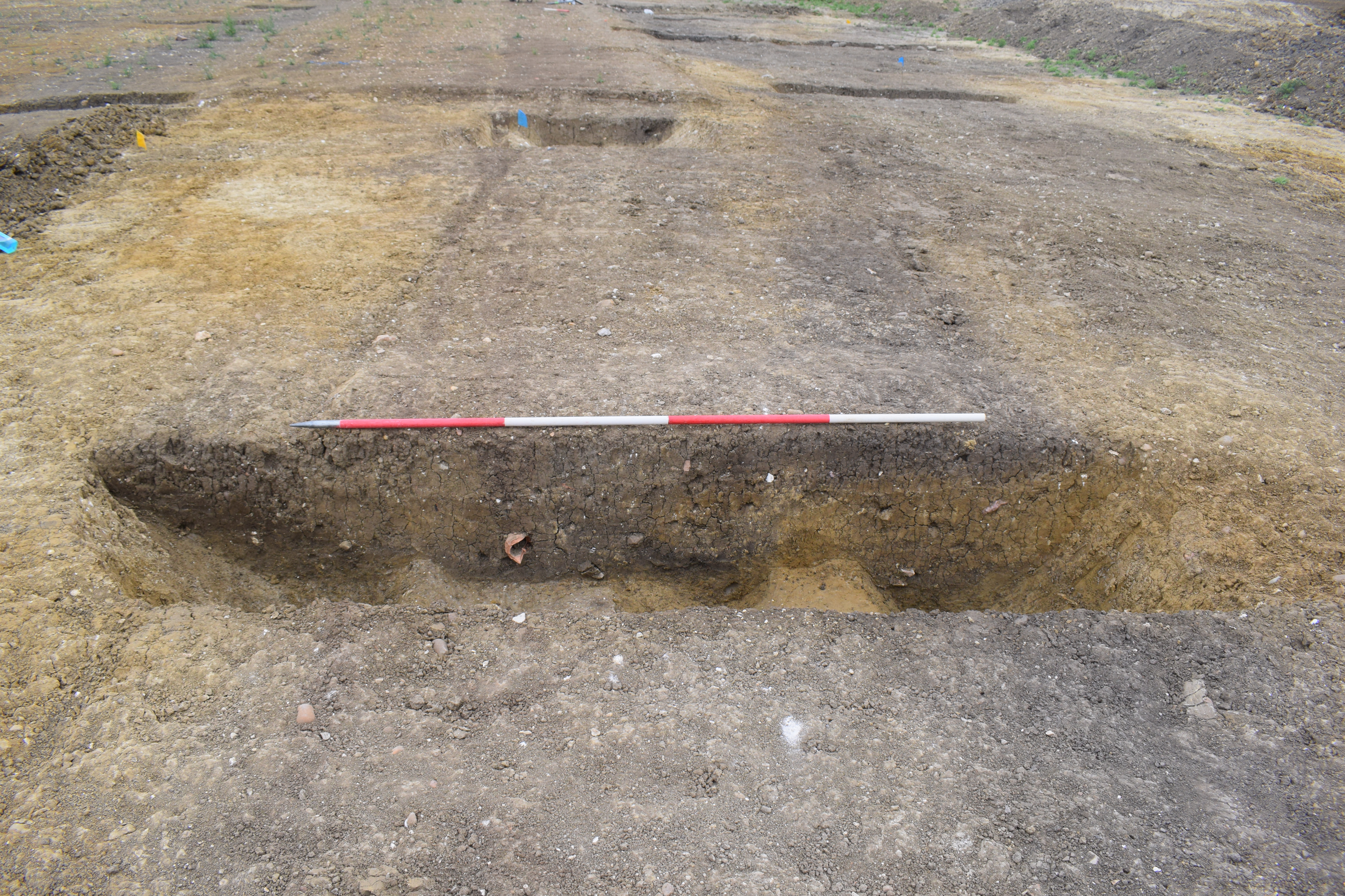 In a field stripped of top soil, a one meter wide slot excavated through a dark area of archaeological fill reveals ditches running next to each other..