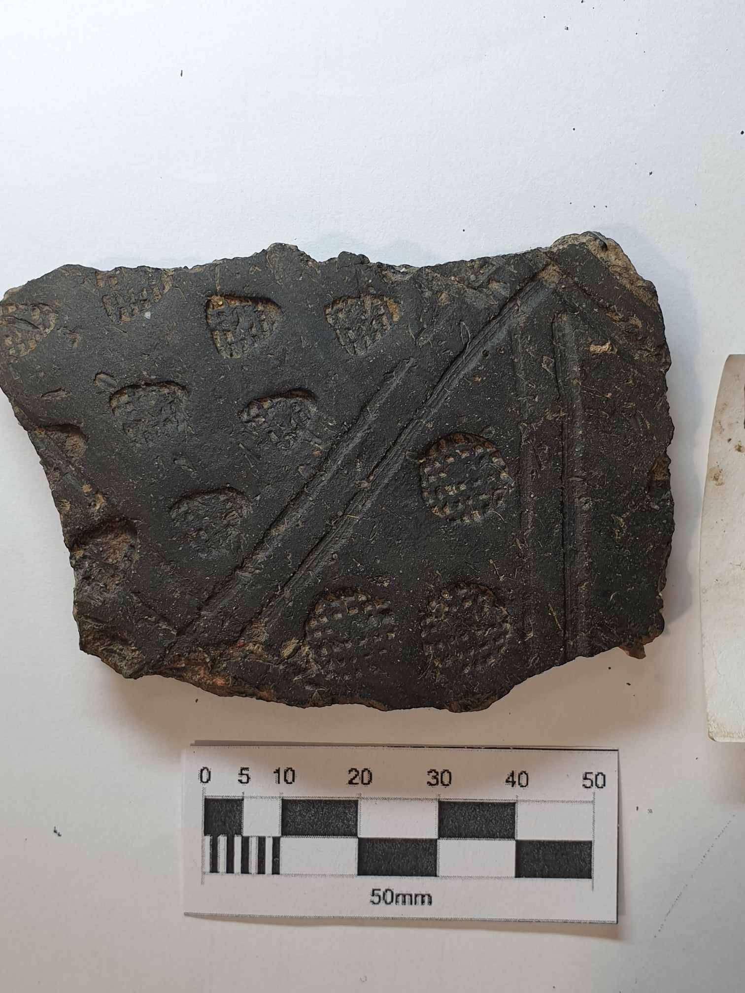A piece of black pottery, stamped and with incised lines on a white background.
