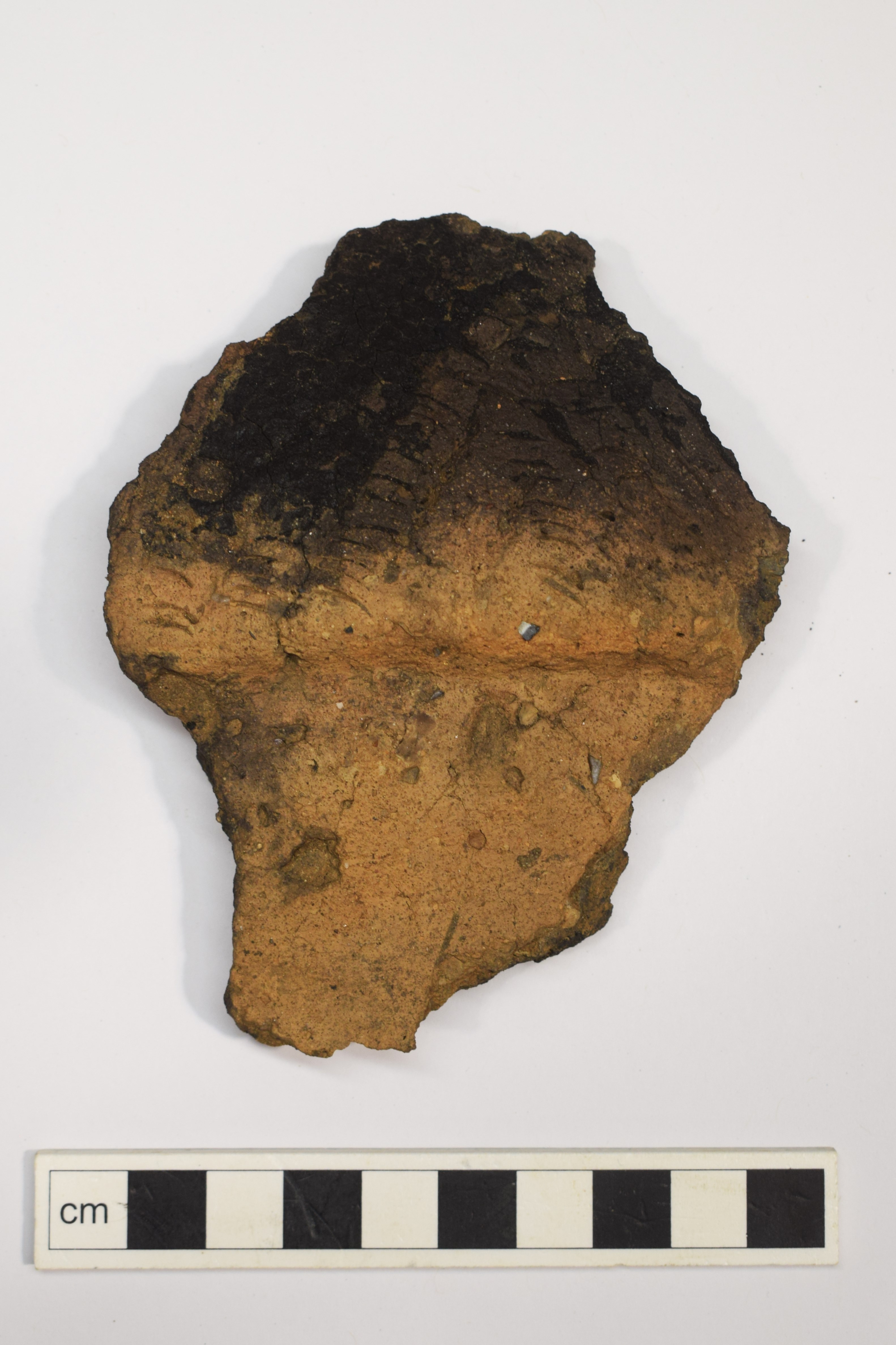 Fragment of collared urn, black at the top and orange at the bottom, on a white background.