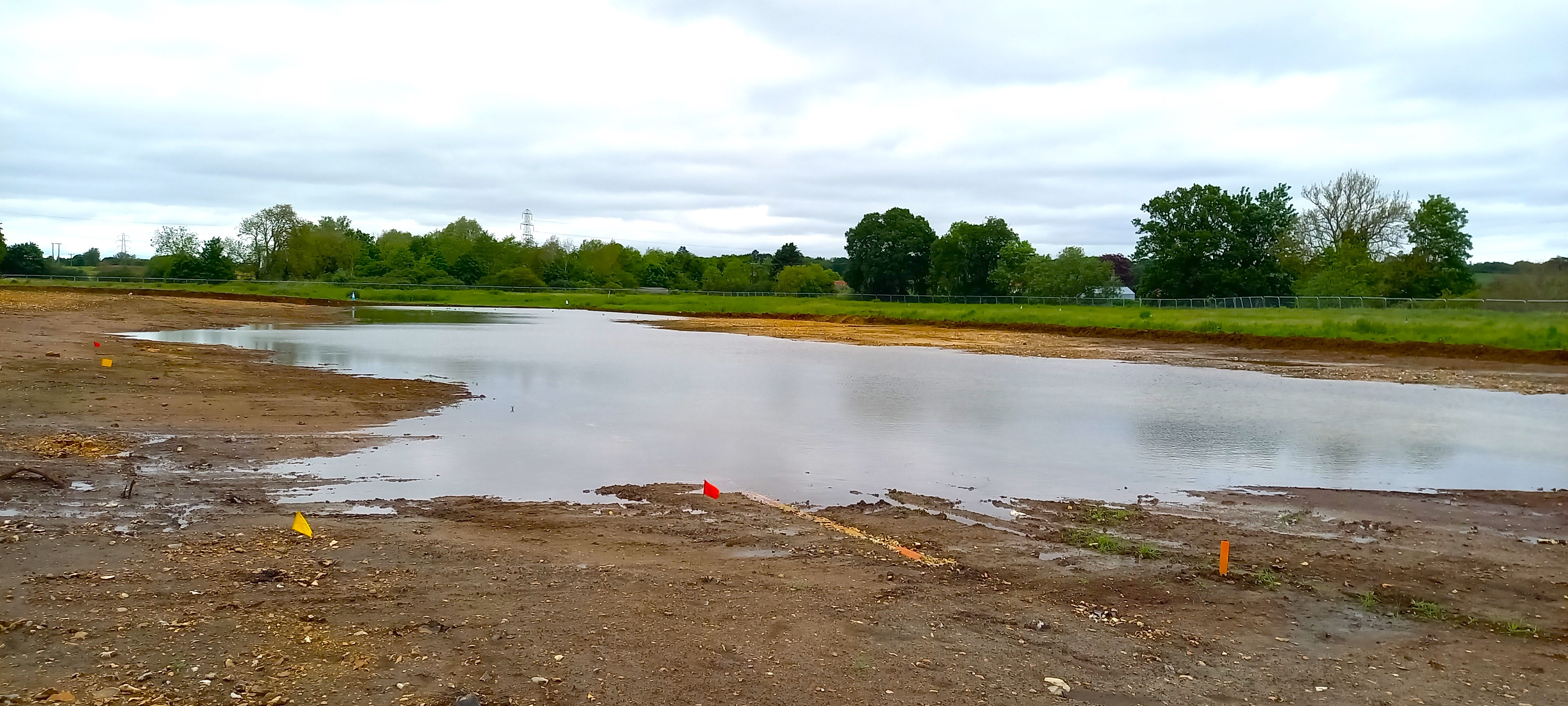 Flooded archaeological site with tree line in the background and small flags marking features in the foreground.