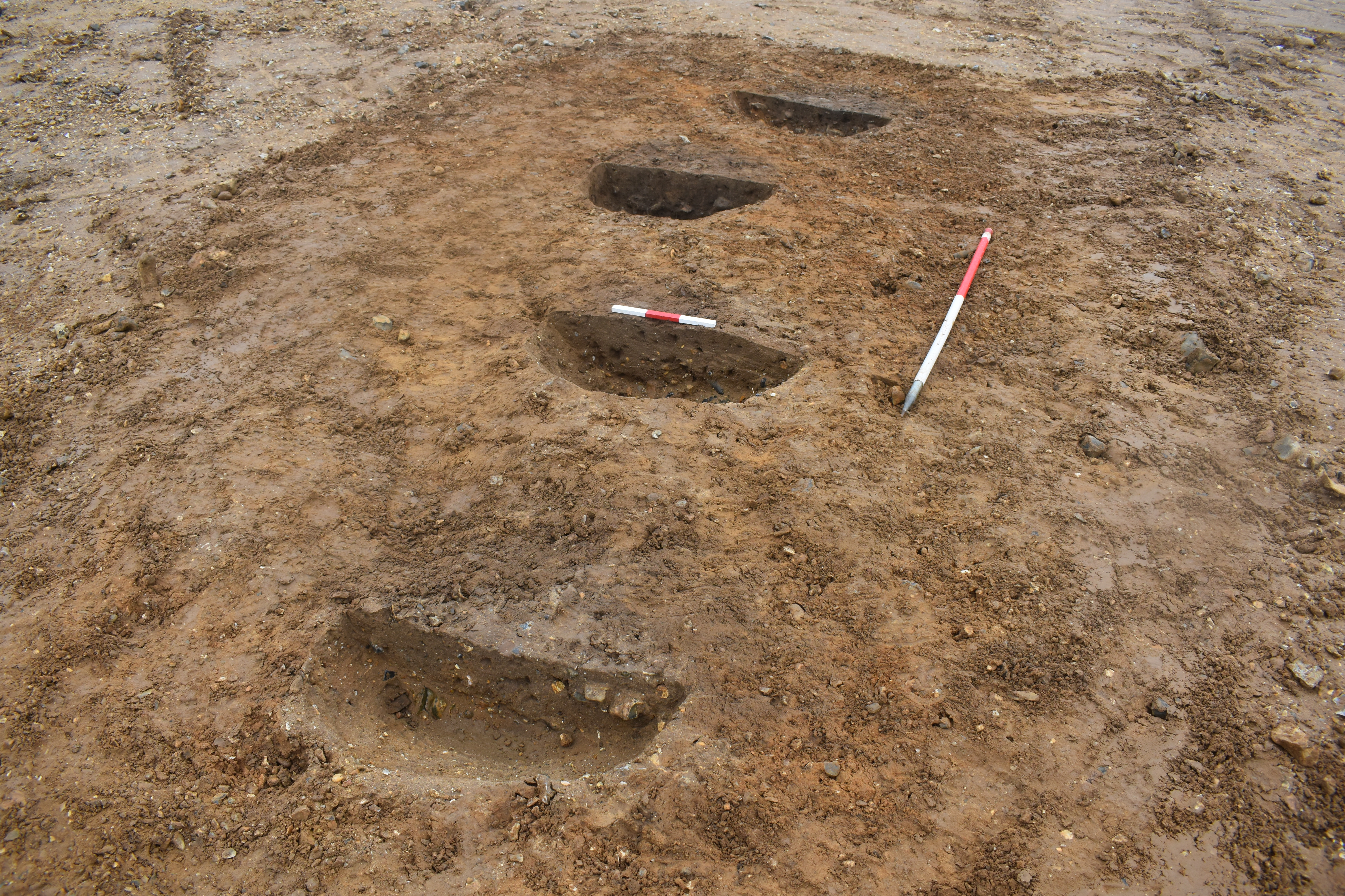 View of four large postholes.