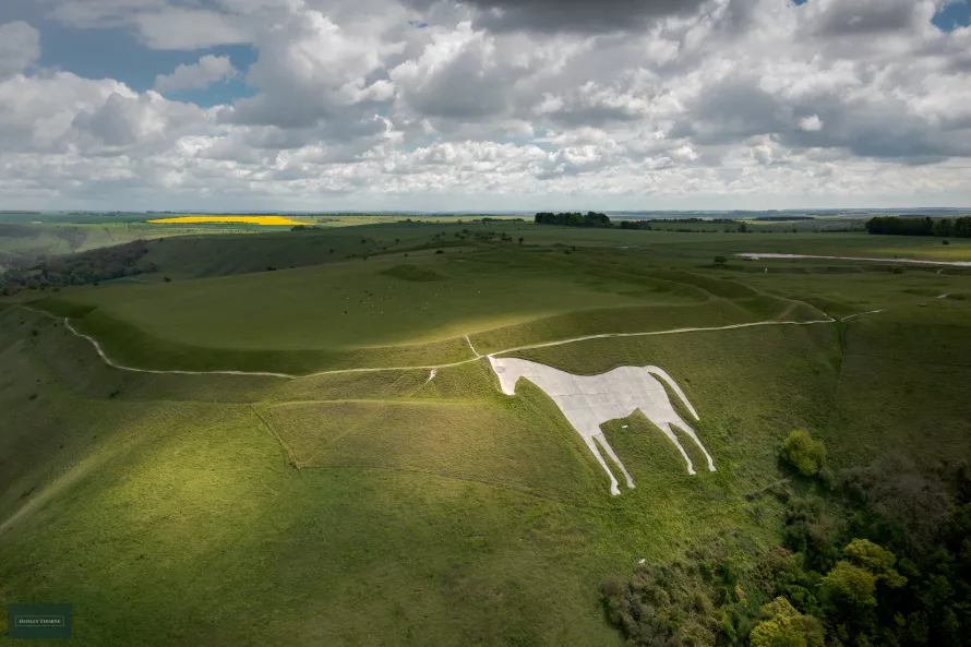 The Westbury White Horse with a view of Bratton Camp hillfort. Image property of Hedley Thorne.