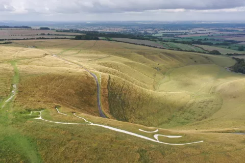 Another drone view of the White Horse and the manger, showing the expansive views over the surrounding countryside from the Hill.