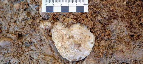 A stone handaxe dating to the Middle Palaeolithic as discovered on site