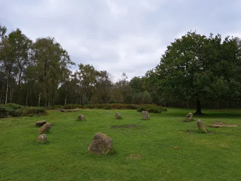 A stone circle in the middle of woodland.