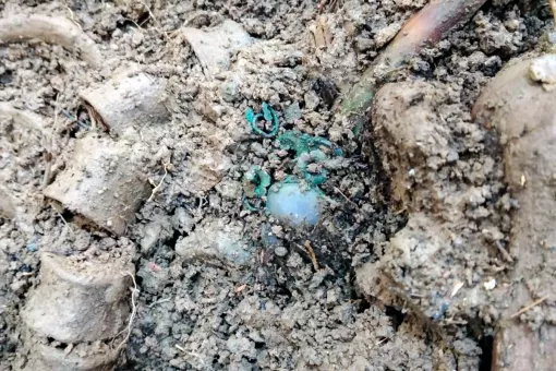 A close up image of a skeleton partially covered in soil with a green oxidised metal chain necklace and precious stone situated near the neck area where it would have been placed.