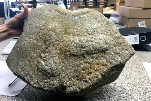 A millstone fragment with a sculpted phallus on its surface.