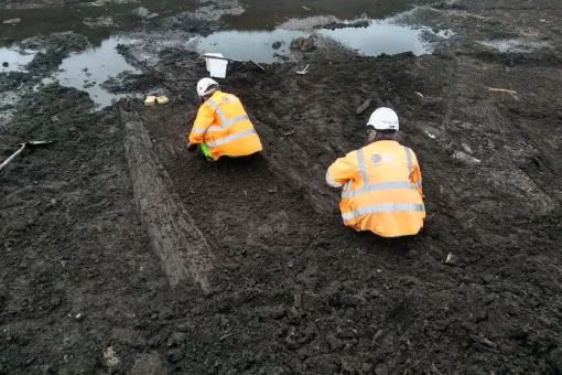 Two archaeologists in orange high visibility jackets excavate prehistoric pier or trackway made of wood within wet blackish peaty soil