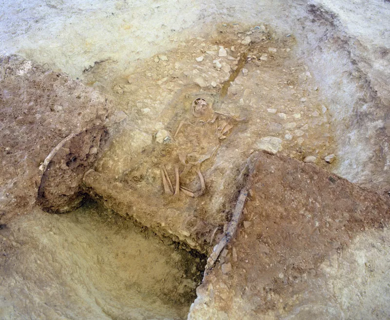 a tan pit with a chariot wheels left in the section of excavation. the centre is excavated down to the level of the human remains.