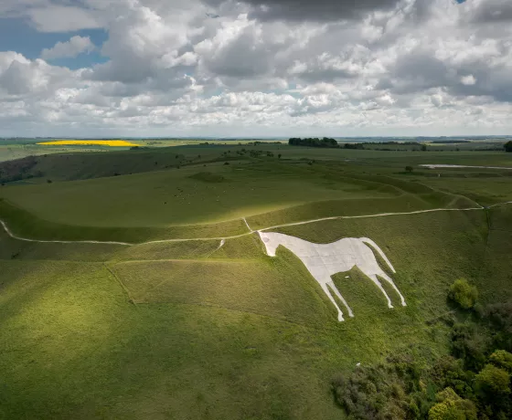 The Westbury White Horse with a view of Bratton Camp hillfort. Image property of Hedley Thorne.