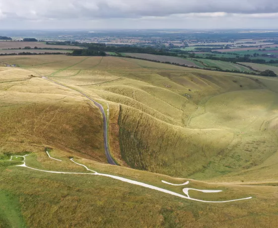 Another drone view of the White Horse and the manger, showing the expansive views over the surrounding countryside from the Hill.