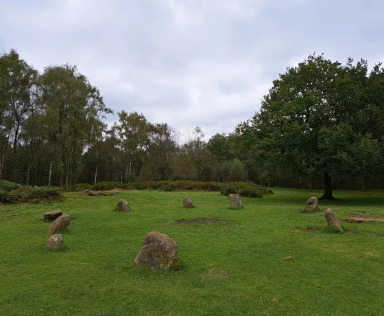 A stone circle in the middle of woodland.